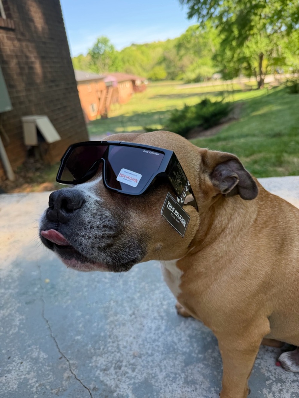 NWT True Religion World Tour Shield One Lens